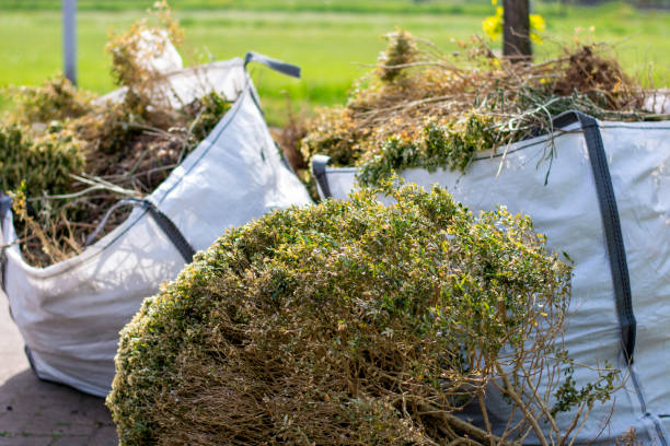 Best Residential Junk Removal  in Somerville, TN